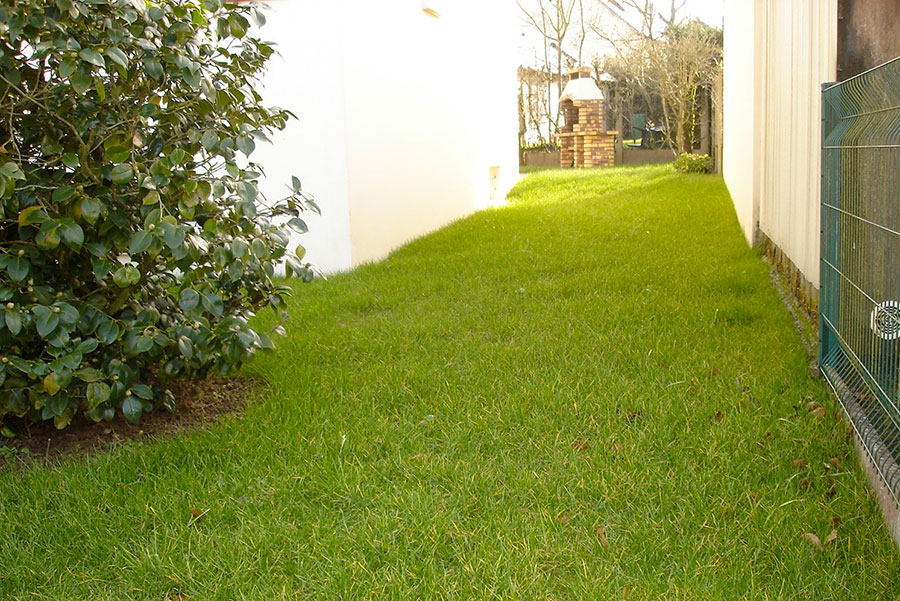 engazonnement naturel en placage